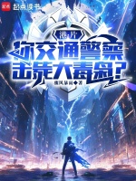 小说《港片：我一交警，成罪犯克星了？》封面