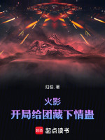 小说《火影：开局给团藏下蛊》封面