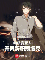 小说《钞级赛亚人，开局辞职斯塔克》封面