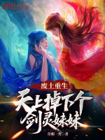 小说《废土重生，天上掉下个剑灵妹妹》封面