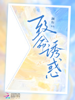 小说《致命诱陷》封面