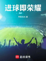 小说《进球即荣耀》封面