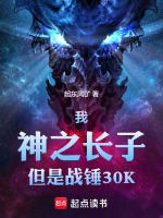 小说《我，神之长子，但是战锤30K》封面