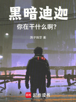小说《黑暗迪迦，你在干什么啊？》封面