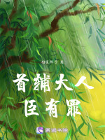小说《首辅大人，臣有罪》封面