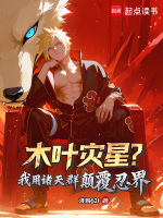 小说《火影：我的跨次元群友全是超影》封面