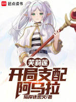 小说《芙莉莲：开局支配阿乌拉》封面