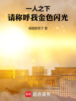 小说《一人之下：请称呼我金色闪光》封面