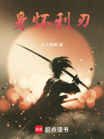 小说《身怀利刃》封面