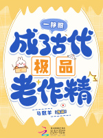 小说《一睁眼，成了古代极品老作精》封面