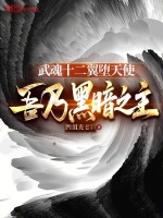 小说《武魂十二翼堕天使，吾乃黑暗之主》封面