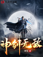 小说《神剑无敌》封面