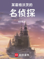 小说《某霍格沃茨的禁术传奇》封面