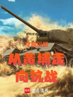 小说《穿越民国从黄埔走向抗战》封面