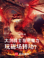小说《大剑战士在用魔力玩磁场转动？》封面