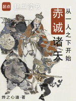 小说《从一人之下开始赤诚诸天》封面