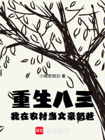 小说《重生八三，我在农村当文豪奶爸》封面