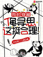 小说《同时穿越：俺寻思这挺合理！》封面