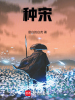小说《种宋》封面
