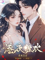 小说《港夜缠欢》封面