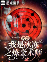 小说《火影：我是冰冻之炼金术师》封面