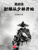 小说《射雕：这个少侠一动不动》封面