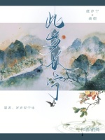 小说《此岁长宁》封面
