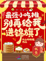 小说《小吃摊到警察局，系统逼我改行！》封面