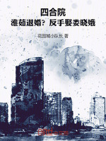 小说《四合院：淮茹退婚？反手娶娄晓娥》封面