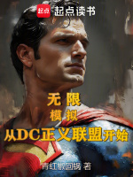 小说《无限：模拟从DC正义联盟开始》封面