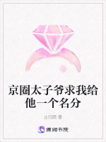 小说《京圈太子爷求我给他一个名分》封面