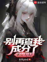 小说《别再查我成分了，圣女大人！》封面