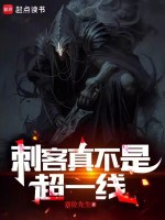 小说《刺客真不是超一线》封面