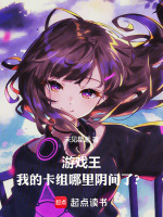 小说《游戏王，我的卡组哪里阴间了？》封面