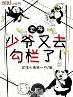 小说《老爷，少爷又出去鬼混了》封面