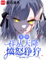小说《龙族：祥从天降愤怒狰狞》封面