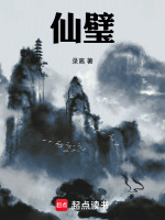 小说《仙璧》封面