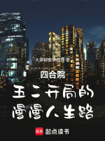 小说《四合院：五二开局的漫漫人生路》封面