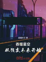 小说《吞噬星空，从预支未来开始》封面