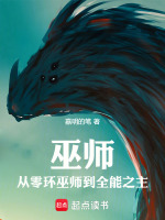 小说《巫师之上》封面