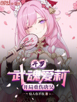 小说《斗罗：武魂爱莉，开局重伤唐昊》封面