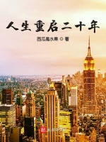 小说《人生重启二十年》封面