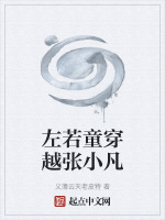 小说《左若童穿越张小凡》封面