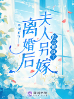 小说《离婚后夫人另嫁，陆总他疯了》封面