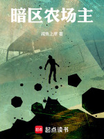 小说《暗区农场主》封面