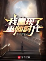 小说《我重现了巫师时代》封面