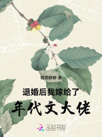 小说《退婚后我嫁给了年代文大佬》封面