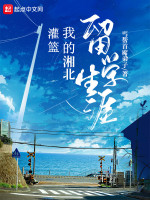 小说《灌篮：我的湘北留学生涯》封面