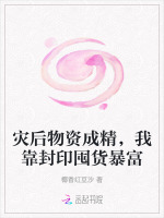 小说《灾后物资成精，我靠封印囤货暴富》封面