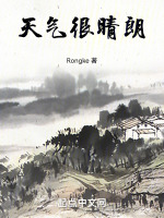 小说《天气很晴朗》封面